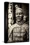 China 10MKm2 Collection - Warrior-Philippe Hugonnard-Stretched Canvas