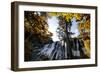 China 10MKm2 Collection - Waterfalls in the Jiuzhaigou National Park-Philippe Hugonnard-Framed Photographic Print