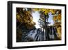 China 10MKm2 Collection - Waterfalls in the Jiuzhaigou National Park-Philippe Hugonnard-Framed Photographic Print