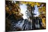 China 10MKm2 Collection - Waterfalls in the Jiuzhaigou National Park-Philippe Hugonnard-Mounted Photographic Print