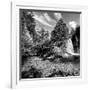 China 10MKm2 Collection - Waterfalls in the Jiuzhaigou National Park-Philippe Hugonnard-Framed Photographic Print