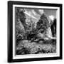 China 10MKm2 Collection - Waterfalls in the Jiuzhaigou National Park-Philippe Hugonnard-Framed Photographic Print