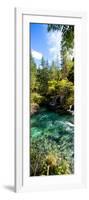 China 10MKm2 Collection - Waterfalls in the Jiuzhaigou National Park-Philippe Hugonnard-Framed Photographic Print