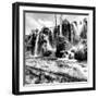 China 10MKm2 Collection - Waterfalls in the Jiuzhaigou National Park-Philippe Hugonnard-Framed Photographic Print