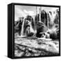 China 10MKm2 Collection - Waterfalls in the Jiuzhaigou National Park-Philippe Hugonnard-Framed Stretched Canvas