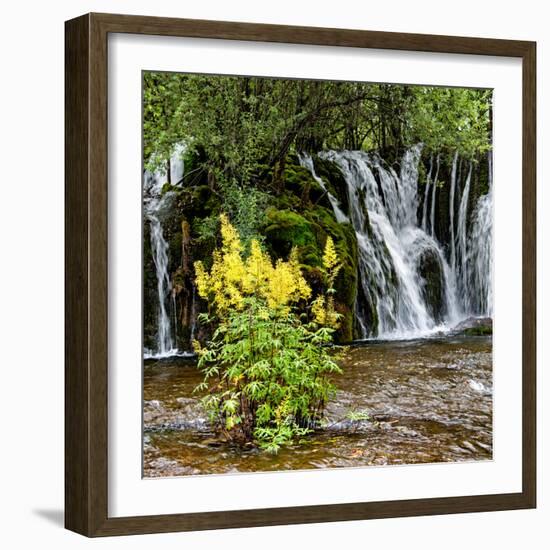 China 10MKm2 Collection - Waterfalls in the Jiuzhaigou National Park-Philippe Hugonnard-Framed Photographic Print