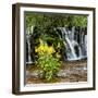 China 10MKm2 Collection - Waterfalls in the Jiuzhaigou National Park-Philippe Hugonnard-Framed Photographic Print