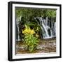 China 10MKm2 Collection - Waterfalls in the Jiuzhaigou National Park-Philippe Hugonnard-Framed Photographic Print