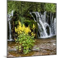 China 10MKm2 Collection - Waterfalls in the Jiuzhaigou National Park-Philippe Hugonnard-Mounted Photographic Print