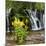 China 10MKm2 Collection - Waterfalls in the Jiuzhaigou National Park-Philippe Hugonnard-Mounted Photographic Print