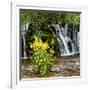 China 10MKm2 Collection - Waterfalls in the Jiuzhaigou National Park-Philippe Hugonnard-Framed Photographic Print