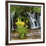 China 10MKm2 Collection - Waterfalls in the Jiuzhaigou National Park-Philippe Hugonnard-Framed Photographic Print