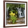 China 10MKm2 Collection - Waterfalls in the Jiuzhaigou National Park-Philippe Hugonnard-Framed Photographic Print