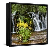 China 10MKm2 Collection - Waterfalls in the Jiuzhaigou National Park-Philippe Hugonnard-Framed Stretched Canvas