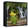 China 10MKm2 Collection - Waterfalls in the Jiuzhaigou National Park-Philippe Hugonnard-Framed Stretched Canvas