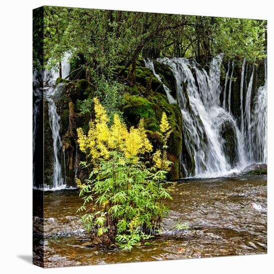 China 10MKm2 Collection - Waterfalls in the Jiuzhaigou National Park-Philippe Hugonnard-Stretched Canvas