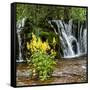 China 10MKm2 Collection - Waterfalls in the Jiuzhaigou National Park-Philippe Hugonnard-Framed Stretched Canvas