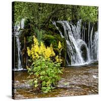 China 10MKm2 Collection - Waterfalls in the Jiuzhaigou National Park-Philippe Hugonnard-Stretched Canvas