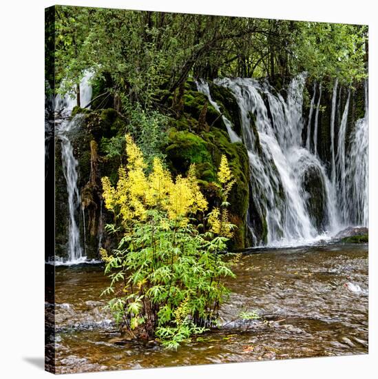 China 10MKm2 Collection - Waterfalls in the Jiuzhaigou National Park-Philippe Hugonnard-Stretched Canvas