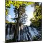 China 10MKm2 Collection - Waterfalls in the Jiuzhaigou National Park-Philippe Hugonnard-Mounted Premium Photographic Print