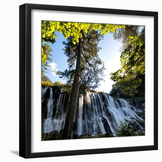 China 10MKm2 Collection - Waterfalls in the Jiuzhaigou National Park-Philippe Hugonnard-Framed Photographic Print