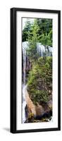 China 10MKm2 Collection - Waterfalls in the Jiuzhaigou National Park-Philippe Hugonnard-Framed Photographic Print