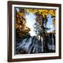 China 10MKm2 Collection - Waterfalls in the Jiuzhaigou National Park-Philippe Hugonnard-Framed Photographic Print