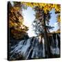 China 10MKm2 Collection - Waterfalls in the Jiuzhaigou National Park-Philippe Hugonnard-Stretched Canvas