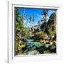 China 10MKm2 Collection - Waterfalls in the Jiuzhaigou National Park-Philippe Hugonnard-Framed Photographic Print