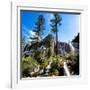 China 10MKm2 Collection - Waterfalls in the Jiuzhaigou National Park-Philippe Hugonnard-Framed Photographic Print