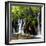 China 10MKm2 Collection - Waterfalls in the Jiuzhaigou National Park-Philippe Hugonnard-Framed Photographic Print