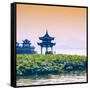 China 10MKm2 Collection - West Lake at sunset-Philippe Hugonnard-Framed Stretched Canvas