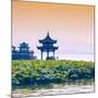 China 10MKm2 Collection - West Lake at sunset-Philippe Hugonnard-Mounted Photographic Print