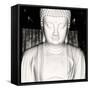 China 10MKm2 Collection - White Buddha-Philippe Hugonnard-Framed Stretched Canvas