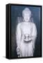 China 10MKm2 Collection - White Buddha-Philippe Hugonnard-Framed Stretched Canvas