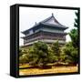 China 10MKm2 Collection - Xi'an Architecture - Temple-Philippe Hugonnard-Framed Stretched Canvas