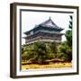 China 10MKm2 Collection - Xi'an Architecture - Temple-Philippe Hugonnard-Framed Photographic Print