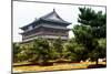 China 10MKm2 Collection - Xi'an Architecture-Philippe Hugonnard-Mounted Photographic Print