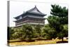 China 10MKm2 Collection - Xi'an Architecture-Philippe Hugonnard-Stretched Canvas