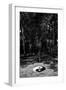 China 10MKm2 Collection - Yin Yang-Philippe Hugonnard-Framed Premium Photographic Print