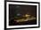 China 10MKm2 Collection - Yuyuan Gardens at night - Shanghai-Philippe Hugonnard-Framed Photographic Print