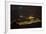 China 10MKm2 Collection - Yuyuan Gardens at night - Shanghai-Philippe Hugonnard-Framed Photographic Print