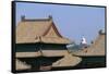 China, Beijing, Forbidden City, Imperial Palace-null-Framed Stretched Canvas