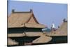 China, Beijing, Forbidden City, Imperial Palace-null-Stretched Canvas