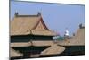 China, Beijing, Forbidden City, Imperial Palace-null-Mounted Giclee Print