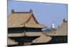 China, Beijing, Forbidden City, Imperial Palace-null-Mounted Giclee Print