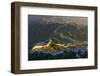 China, Beijing, Great wall of Badaling, sunset on the great wall-Maurizio Rellini-Framed Photographic Print