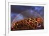 China, Beijing, Olympic park and famous bird's nest stadium made of steel illuminated by a colorful-Maurizio Rellini-Framed Photographic Print