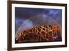 China, Beijing, Olympic park and famous bird's nest stadium made of steel illuminated by a colorful-Maurizio Rellini-Framed Photographic Print