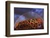 China, Beijing, Olympic park and famous bird's nest stadium made of steel illuminated by a colorful-Maurizio Rellini-Framed Photographic Print